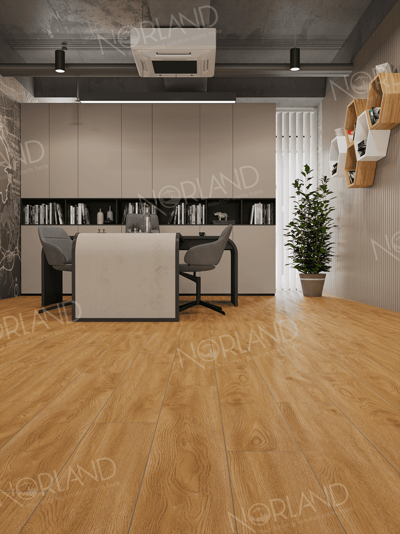 https://bitrix.alpinestore.su/upload/iblock/cc4/c3ejy85hy3imni6y2elyeq2362jgu07n/LF301_10_11zon.png