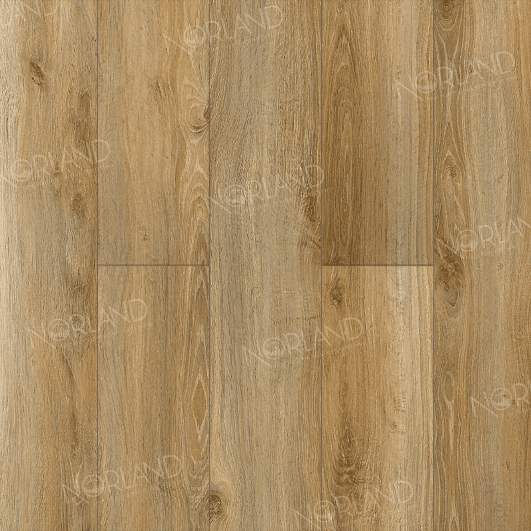 https://bitrix.alpinestore.su/upload/iblock/5a4/si8b0xj87hdt0wudq16gyde0l9rq8bz0/LF301_11_3_11zon.png