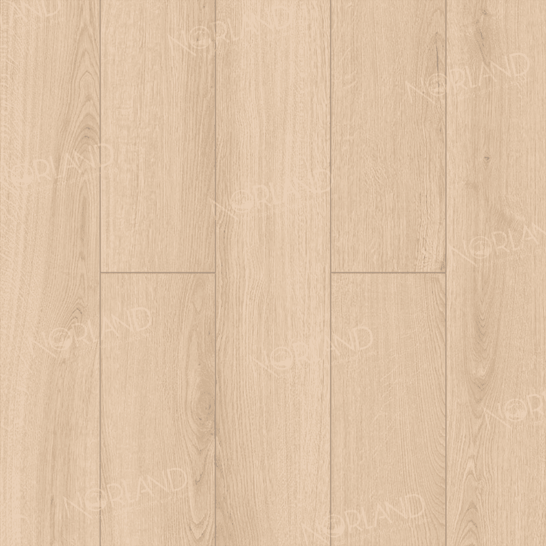 https://bitrix.alpinestore.su/upload/iblock/709/ukeyroe1ejbmsqdc6bwtnabvq2w00alb/LF301_03_3_11zon.png