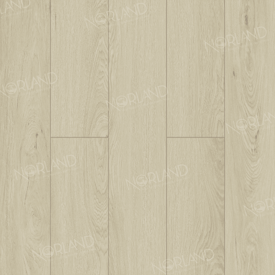https://bitrix.alpinestore.su/upload/iblock/73d/xu32m40cbuq2slswv7aeykeglhbqe64v/LF301_02_3_11zon.png