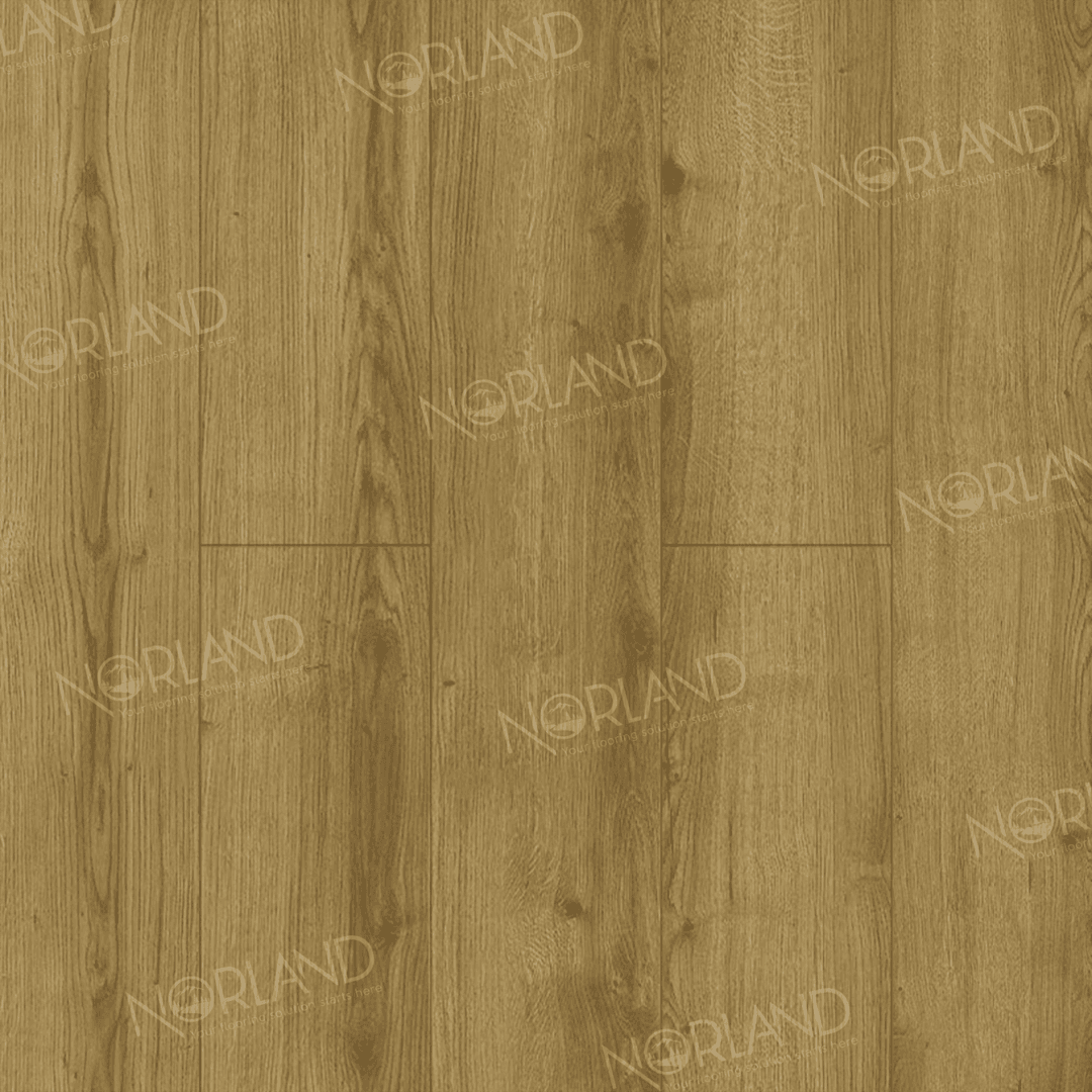 https://bitrix.alpinestore.su/upload/iblock/8a8/7k97zyji19yhhuuz87193fqe7my22553/LF301_17_3_11zon.png