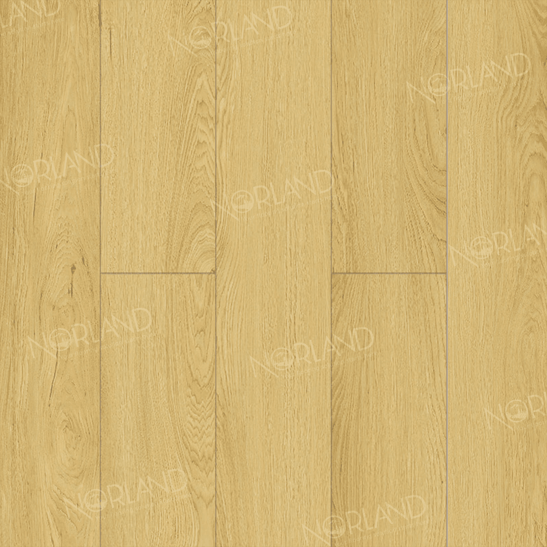 https://bitrix.alpinestore.su/upload/iblock/8c2/144qghr0zm3zqlu802j9db4c0clvi69d/LF301_08_3_11zon.png