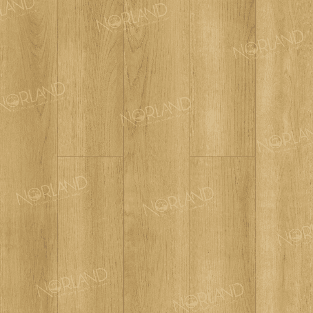 https://bitrix.alpinestore.su/upload/iblock/ae0/m0o8fsnhfs0hbvdo3bxje2wfugw6ni0p/LF301_06_3_11zon.png