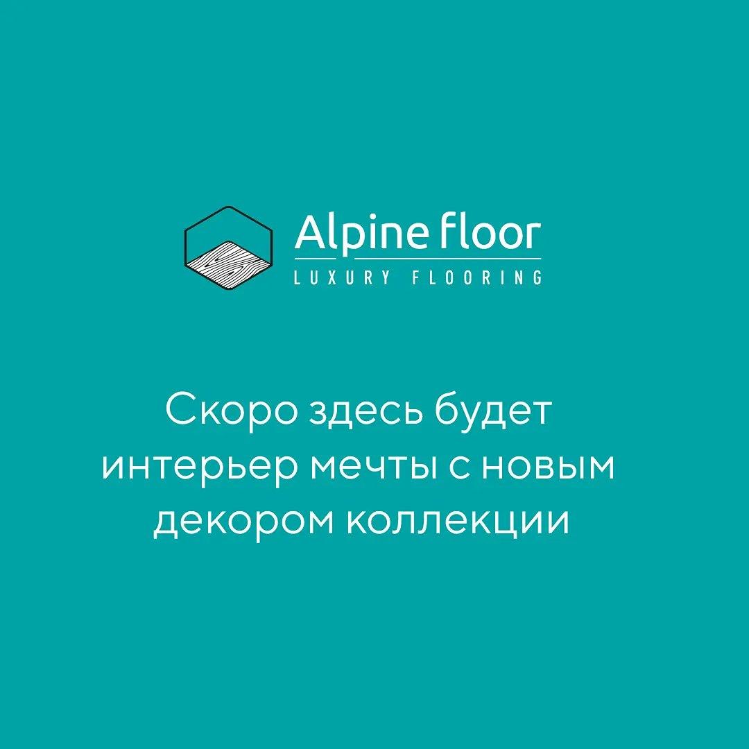 https://bitrix.alpinestore.su/upload/iblock/b68/jo5v1n03qavv3yljsdgzcbdfbhpkogdl/Bezymyannyy_1_Vosstanovlen_Montazhnaya_oblast_1_1_11zon.jpeg