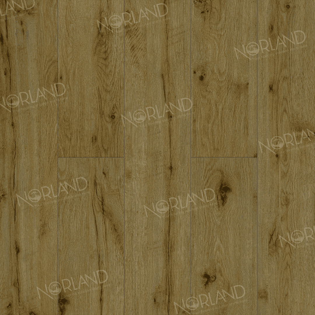 https://bitrix.alpinestore.su/upload/iblock/da0/4434hfhfwcfndz3mw0x14ga37pxzp3fj/LF301_14_3_11zon.png